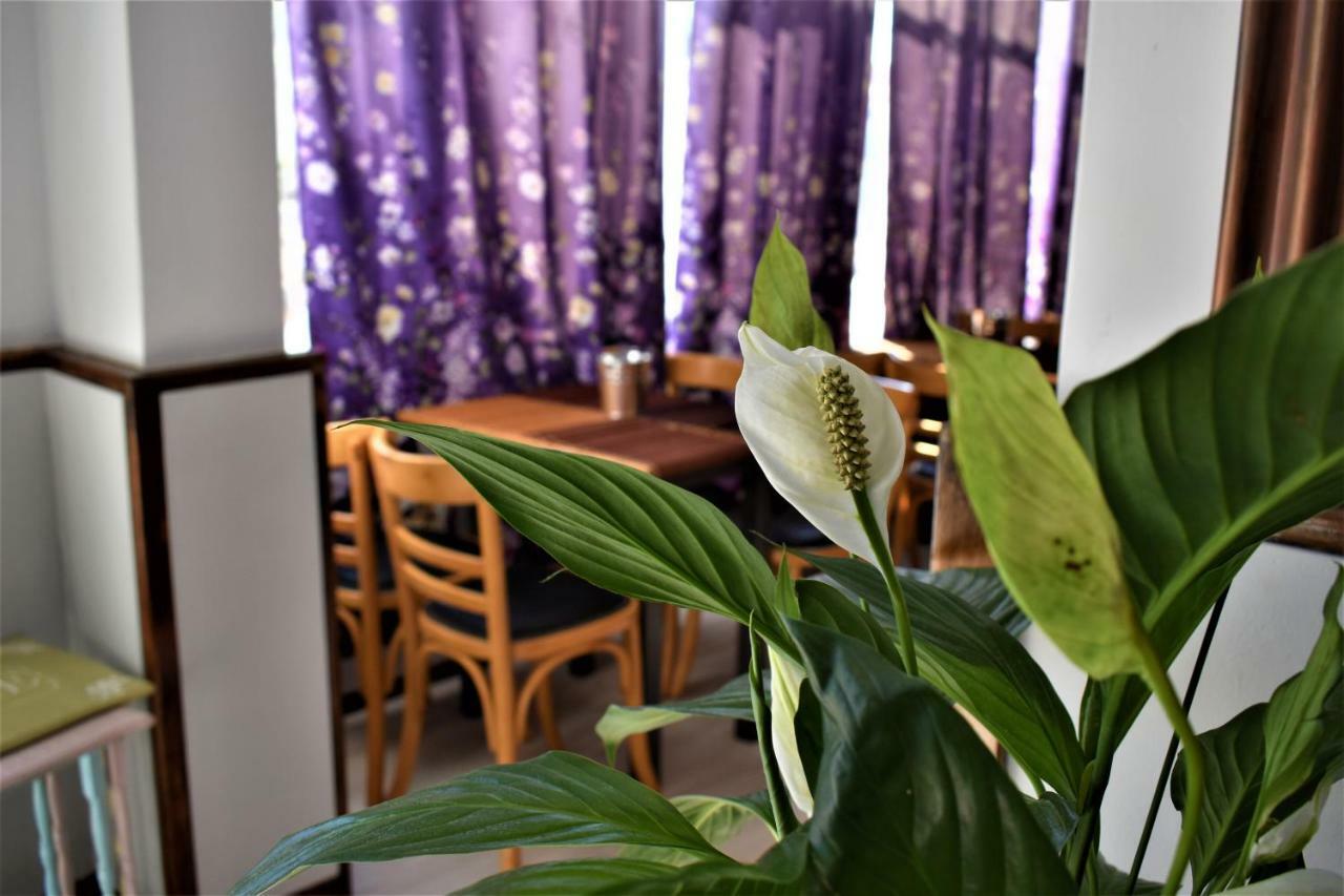 Aphrodite Art Hotel Aegina エクステリア 写真