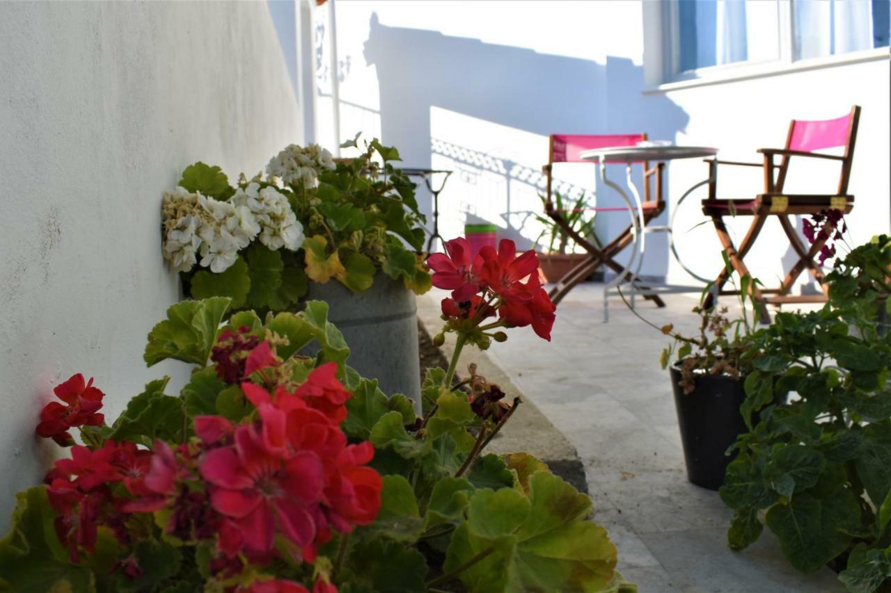 Aphrodite Art Hotel Aegina エクステリア 写真